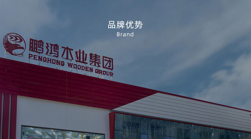 板材品牌、全屋定制品牌、生态板十大品牌